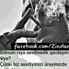 user830009079036