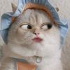 herlina_____