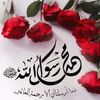 msalghamdi1