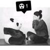 pandagirl155