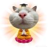 meothuviec