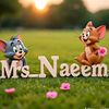 mrsnaeem077