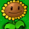 turtle_guy_on_cucumbers