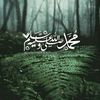 ahmedahmed33861