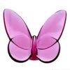 shog_alshmri