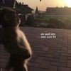 pedro_dude16