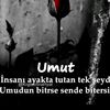 userig7u3ghm6q