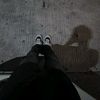 fjarr_77