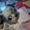 tinyandfriends0