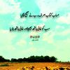 tayyabmirza251