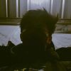 nasikentut_1