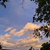 abcxyz_2112