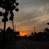 linlinndut