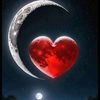 fatih.can7