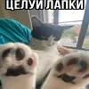vanya_clasico