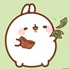jupienyoong