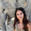 nitisha.mistry