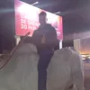 ayslanfernando3