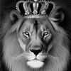 belaruss_1221