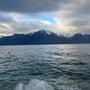 elton_421