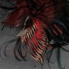 shadowflame420