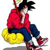 lrchillzonejay