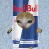 poopoo_.head