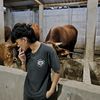 wongmumet.c0m