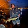 brandonturcotte906