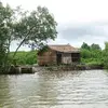 huuviet03