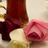 user23772r