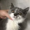 qhn247