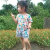 nguyentu.63b