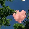 tramchualanh5