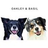 Amber’s Aussies