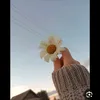 maise_20