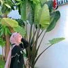 susiindahw
