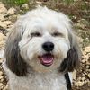 cody.da.floofers