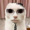 alex_091