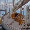 deboradesanctis51