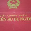 tandung269