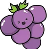vinograde5