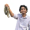 dr_udang_vannamei