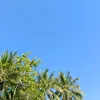 akulusiaa4