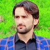 salmandirojai