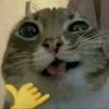 lxyhi