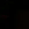 galll1___