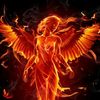 butterflyphoenix87