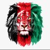 official.seddiqui