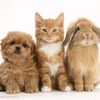 user5242007069
